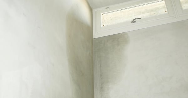 ממה נובעת רטיבות בקיר ואיך אפשר למנוע את זה